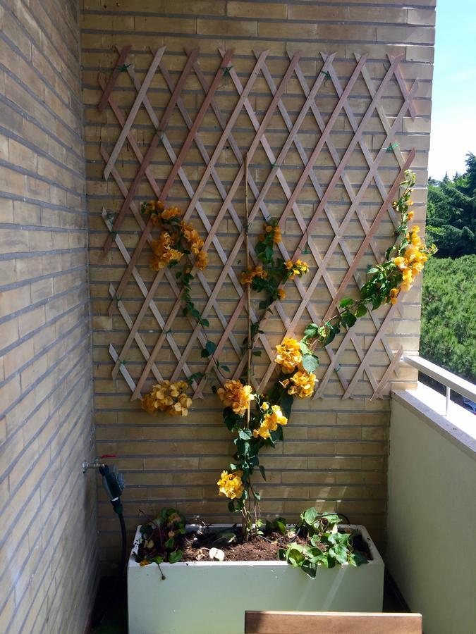 Happy Holiday In Rome B&B Exterior foto